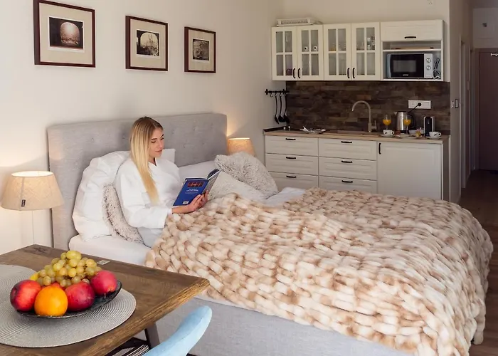 Cozy With Netflix - Apartmanovy Dom Bernard Apartman Vysoké Tatry