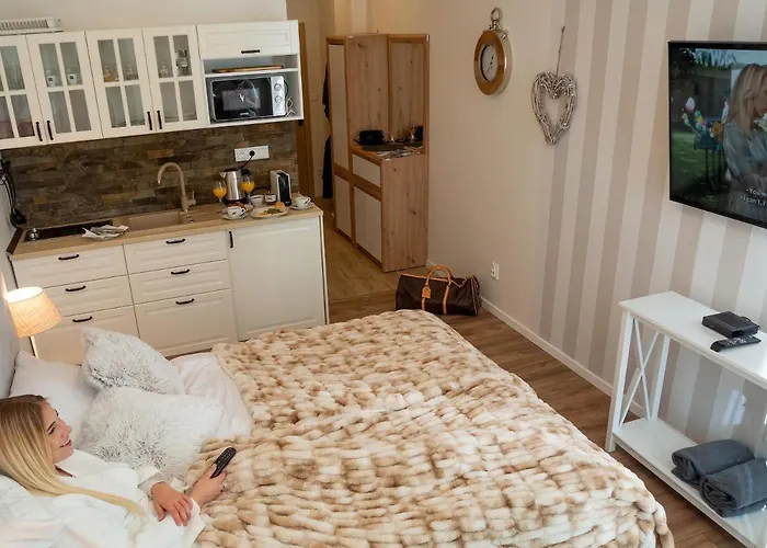Cozy With Netflix - Apartmanovy Dom Bernard *